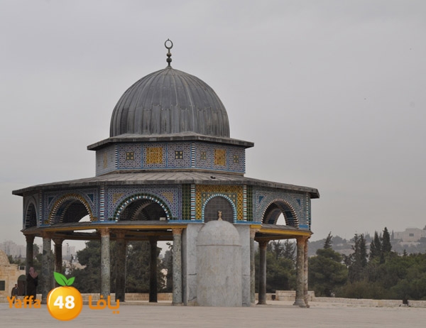 byareq 1201 i (6).JPG